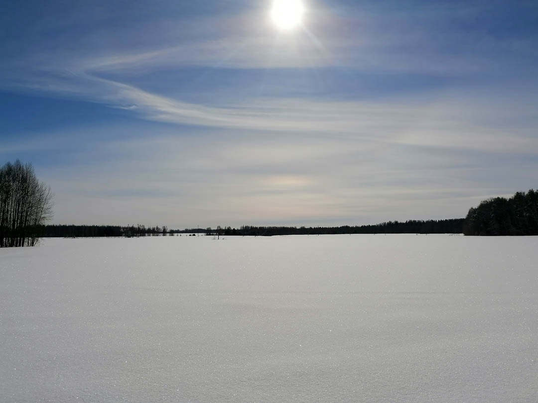 2023-03-13-den-zdorovya-08